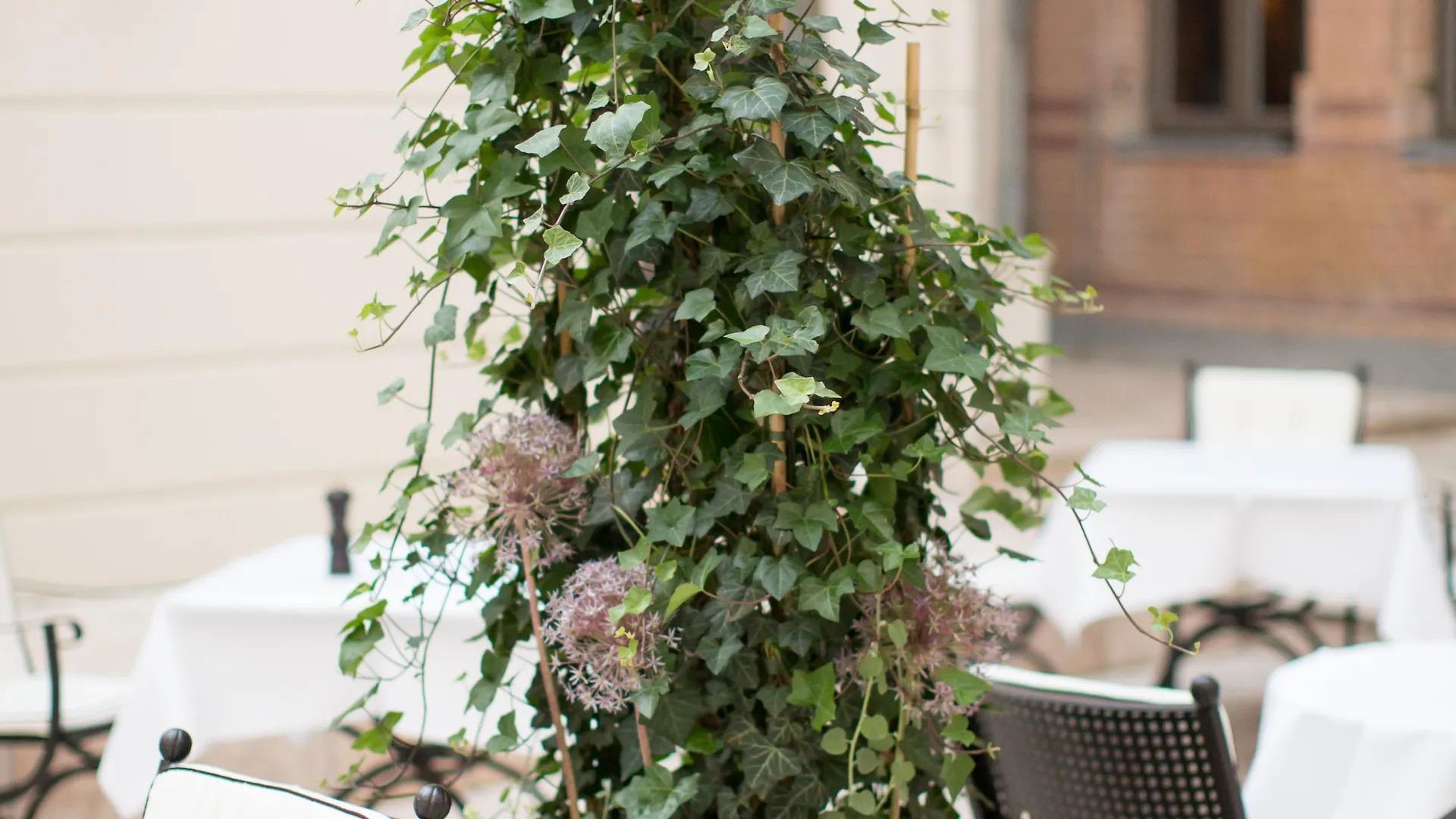 Monbijou Hotel Berlin